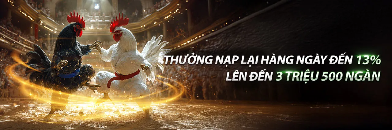 Đánh giá M88 toàn diện tại Kubet chính thức